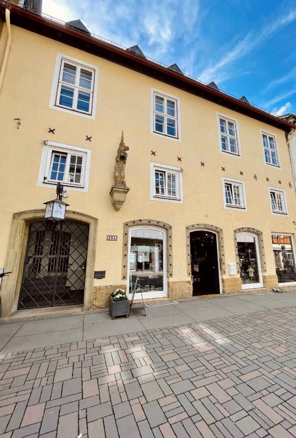 Villa Einhorn: Ruhe Oase Mitten Im Zentrum Goslar Exterior photo